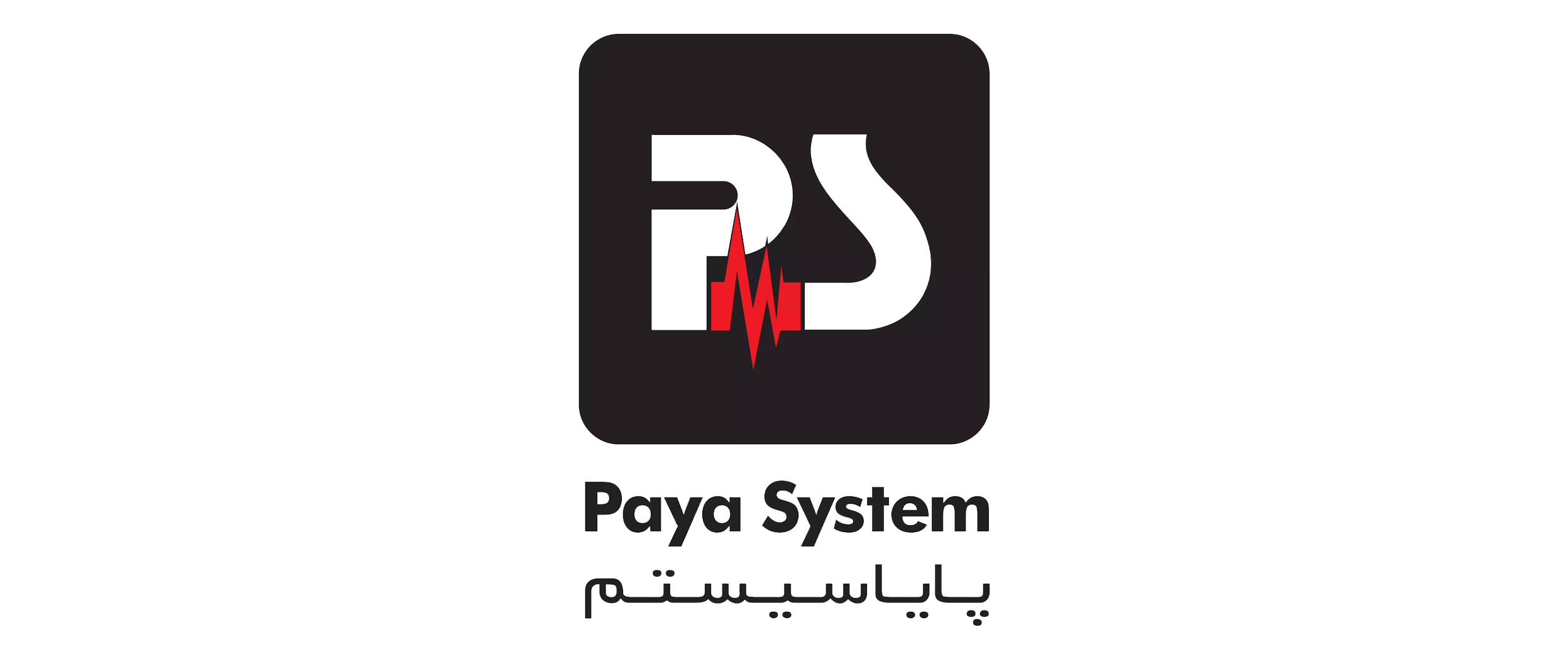 payasystem